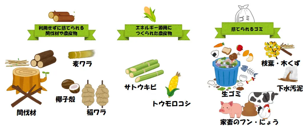 利用せずに捨てられる間伐材や農産物　エネルギー源用につくられた農作物　捨てられるゴミ